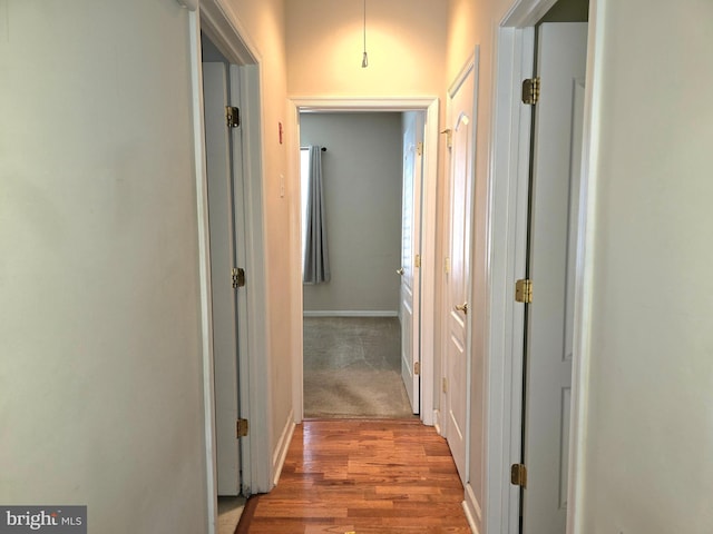 10 Honeyflower, Bordentown, NJ 08620 - corridor with wood finished floors and baseboards