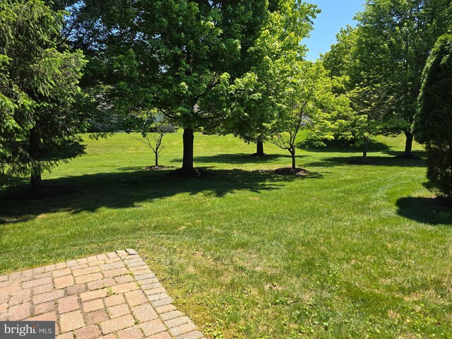 10 Honeyflower, Bordentown, NJ 08620 - view of grassy yard