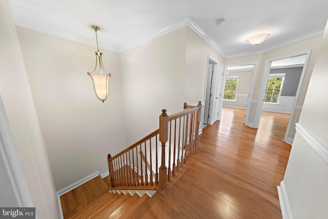 14 Osprey Ln, Bayville, NJ 08721 - corridor featuring an upstairs landing, light wood-type flooring, ornamental molding, and baseboards