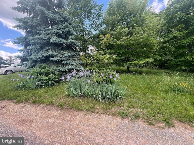 1442 Hickory Corner Rd, Augusta, WV 26704 - view of yard