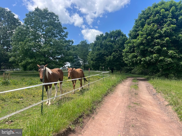 1442 Hickory Corner Rd, Augusta, WV 26704 - view of dirt / gravel road featuring a rural view