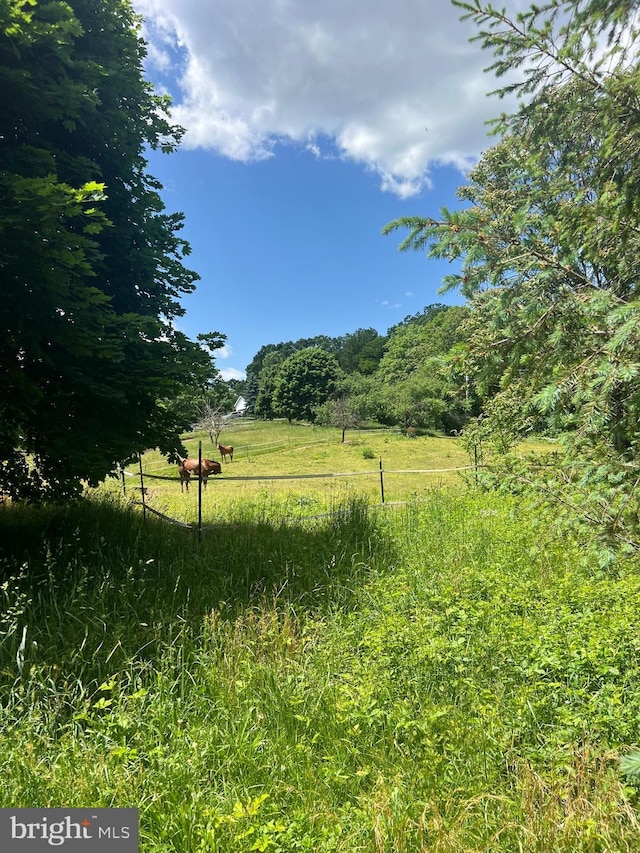 1442 Hickory Corner Rd, Augusta, WV 26704 - view of yard with a view of rural / pastoral area