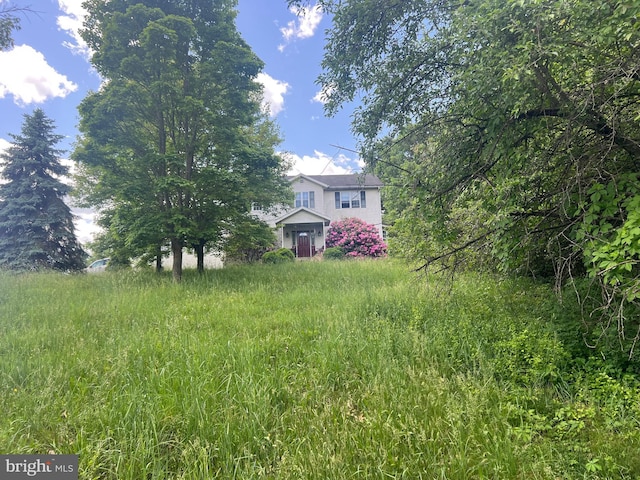 1442 Hickory Corner Rd, Augusta, WV 26704 - view of yard
