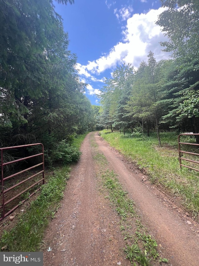 1442 Hickory Corner Rd, Augusta, WV 26704 - view of dirt / gravel road featuring a wooded view