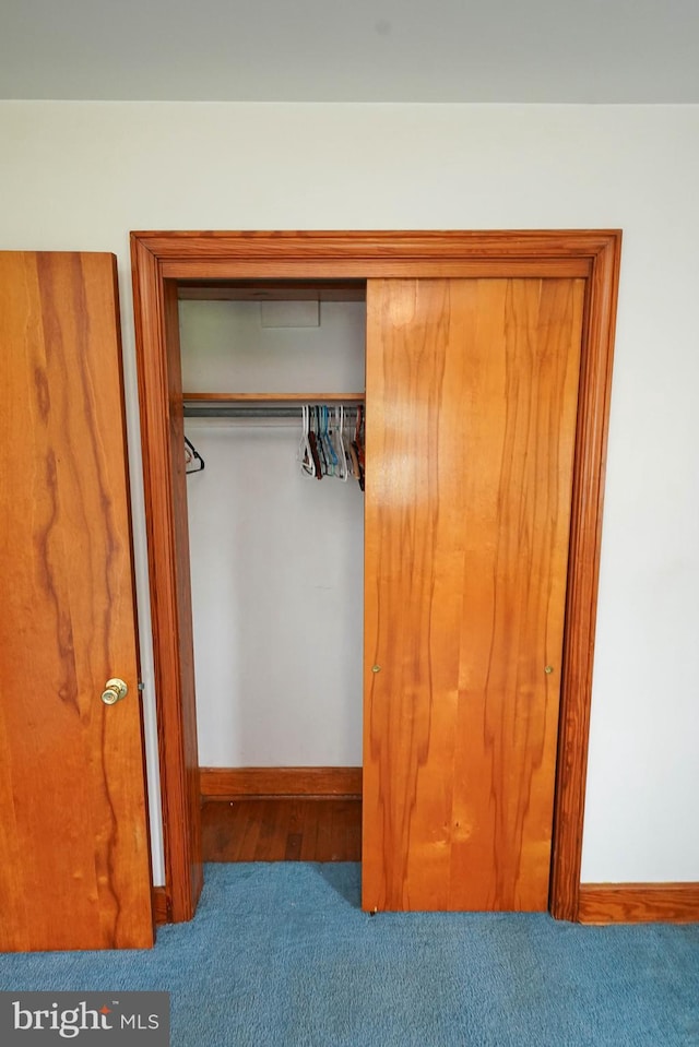 407 Elizabeth St, Georgetown, DE 19947 - view of closet