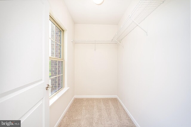 5831 Rochefort St, Ijamsville, MD 21754 - walk in closet featuring carpet