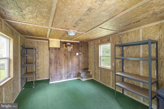 empty room featuring carpet