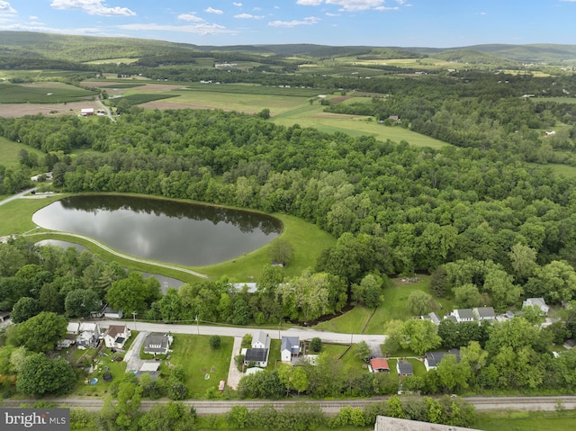 aerial view of a nearby body of water and a forest