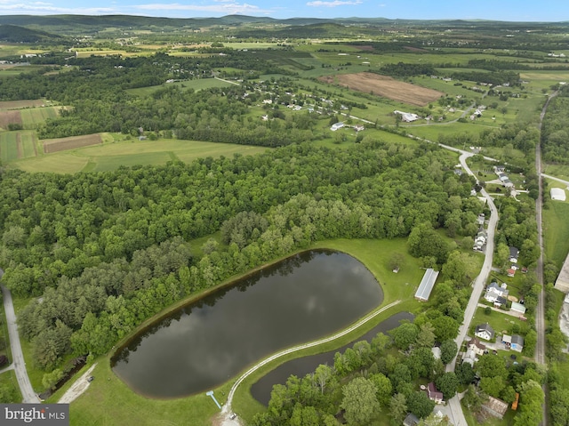 aerial overview of property's location with a nearby body of water