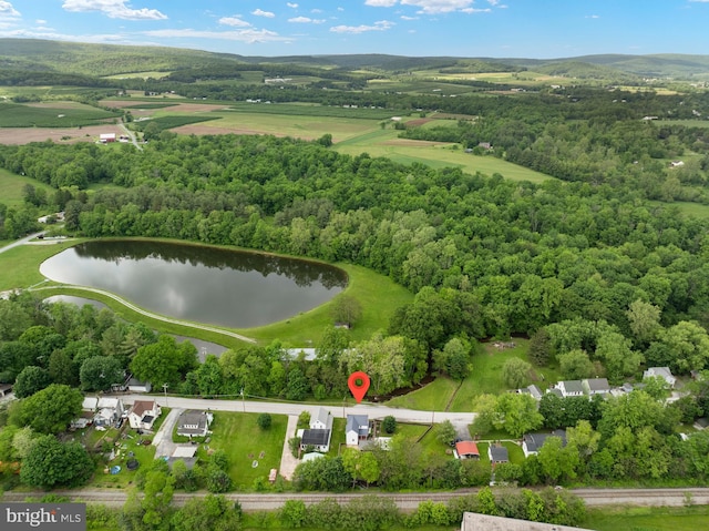 aerial view of a large body of water and a forest