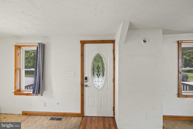 foyer with wood finished floors, healthy amount of natural light, and baseboards
