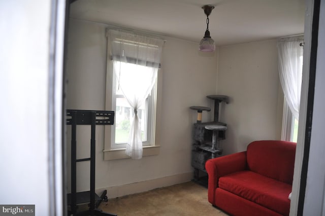 2147 Cloverleaf Rd, Mount Joy, PA 17552 - sitting room with carpet