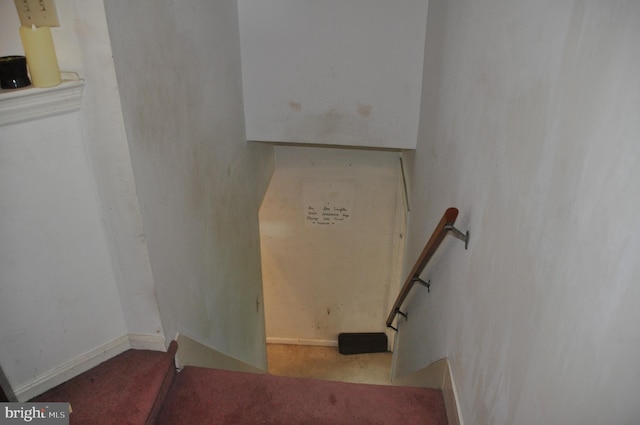 2147 Cloverleaf Rd, Mount Joy, PA 17552 - staircase featuring carpet flooring and baseboards