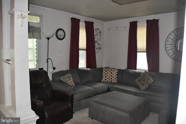 2147 Cloverleaf Rd, Mount Joy, PA 17552 - living room featuring carpet