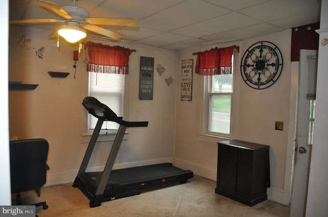2147 Cloverleaf Rd, Mount Joy, PA 17552 - exercise area featuring carpet, a paneled ceiling, ceiling fan, and baseboards