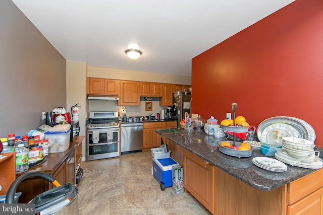 kitchen featuring appliances with stainless steel finishes, under cabinet range hood, stone finish floors, dark stone countertops, and a sink