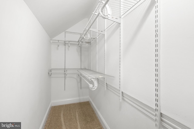 walk in closet with carpet
