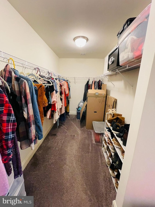 128 Eagle Rd, Dillsburg, PA 17019 - spacious closet featuring carpet floors