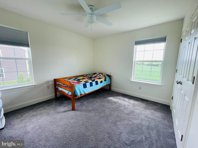 128 Eagle Rd, Dillsburg, PA 17019 - bedroom featuring multiple windows, baseboards, and carpet floors