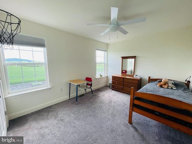 128 Eagle Rd, Dillsburg, PA 17019 - bedroom featuring carpet flooring, baseboards, and ceiling fan