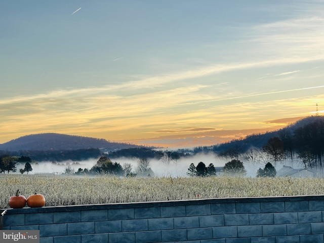 128 Eagle Rd, Dillsburg, PA 17019 - view of mountain background