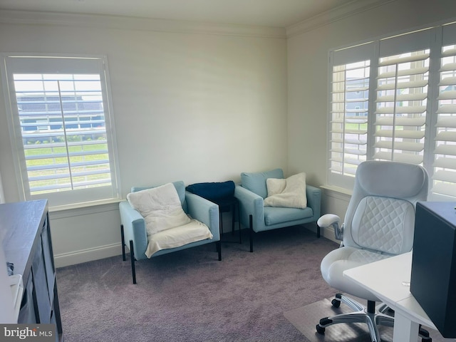 128 Eagle Rd, Dillsburg, PA 17019 - office space featuring crown molding, plenty of natural light, and carpet floors