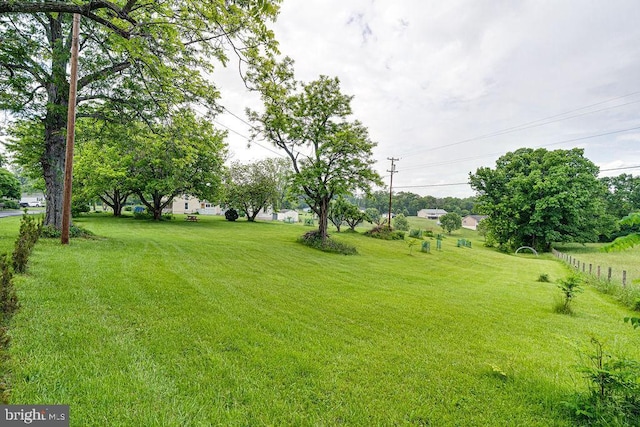 340 Andrews Rd, Strasburg, VA 22657 - view of yard