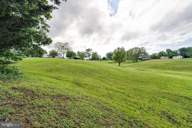 340 Andrews Rd, Strasburg, VA 22657 - view of grassy yard