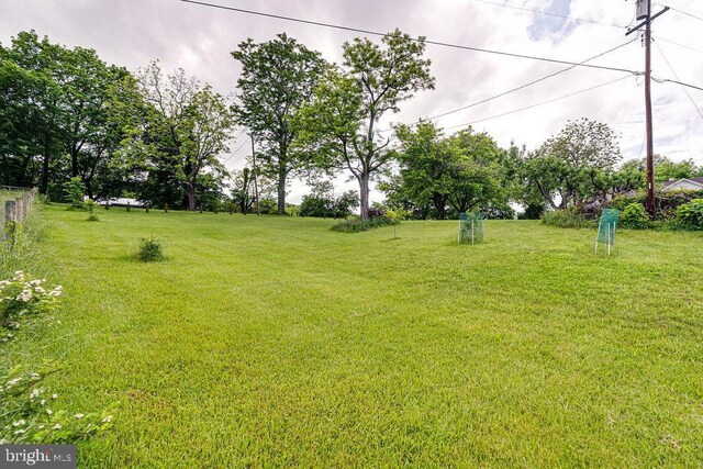 340 Andrews Rd, Strasburg, VA 22657 - view of green lawn
