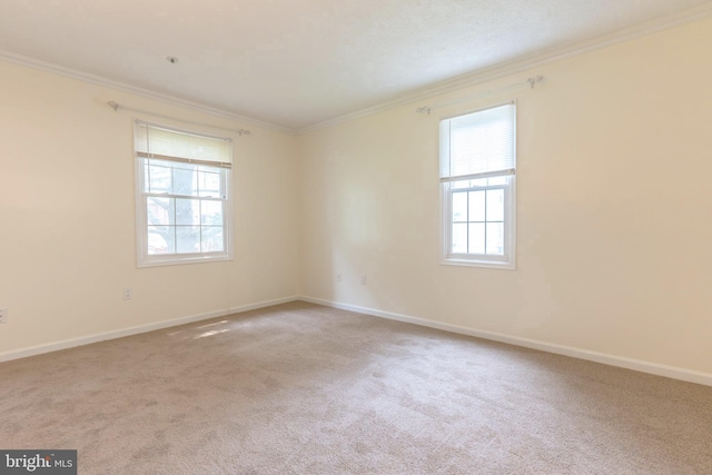 12216 Eagles Nest Ct Unit G, Germantown, MD 20874 - spare room featuring crown molding, carpet, and baseboards