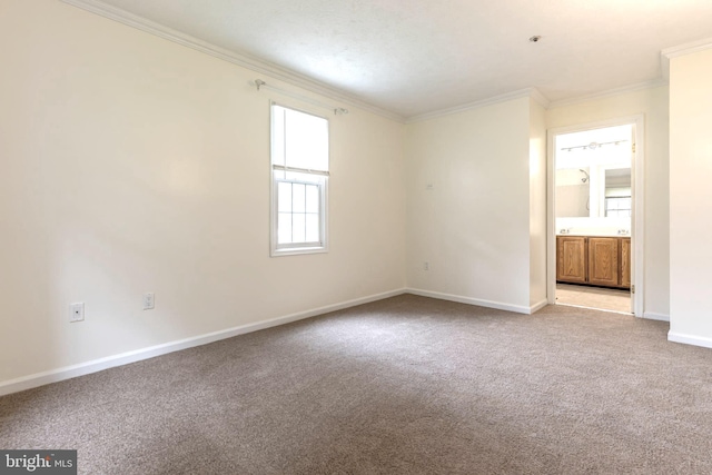 12216 Eagles Nest Ct Unit G, Germantown, MD 20874 - unfurnished bedroom with ornamental molding, light carpet, baseboards, and connected bathroom