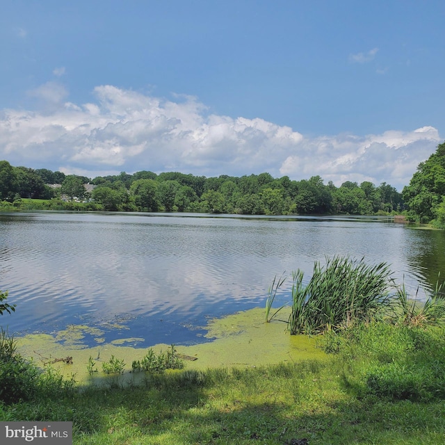 12216 Eagles Nest Ct Unit G, Germantown, MD 20874 - water view with a forest