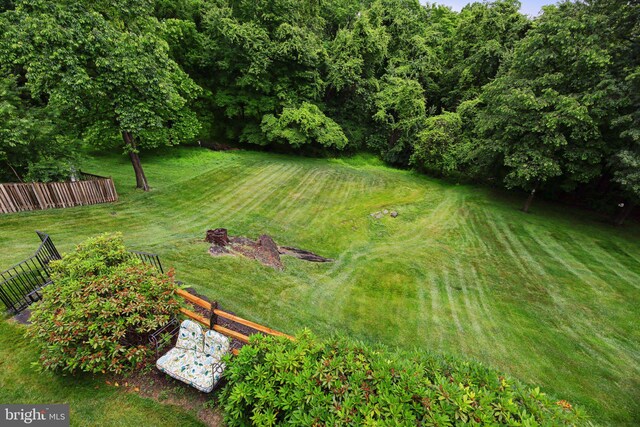 11115 Sceptre Ridge Ter, Germantown, MD 20876 - view of yard