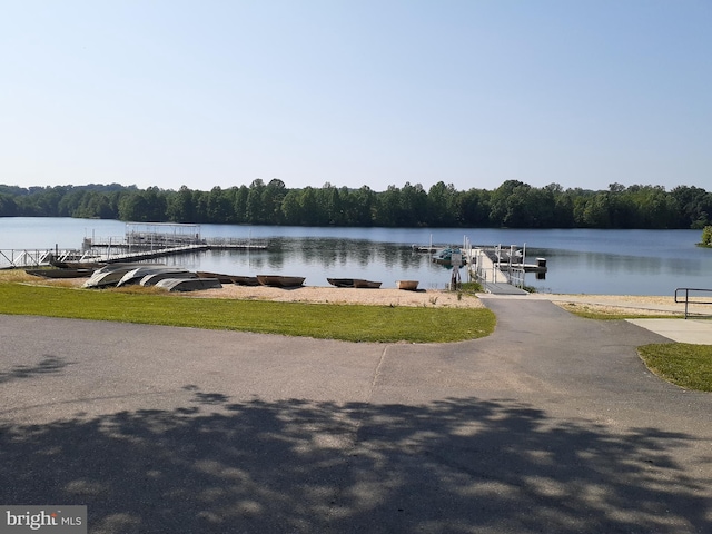 11115 Sceptre Ridge Ter, Germantown, MD 20876 - water view featuring a dock and a forest
