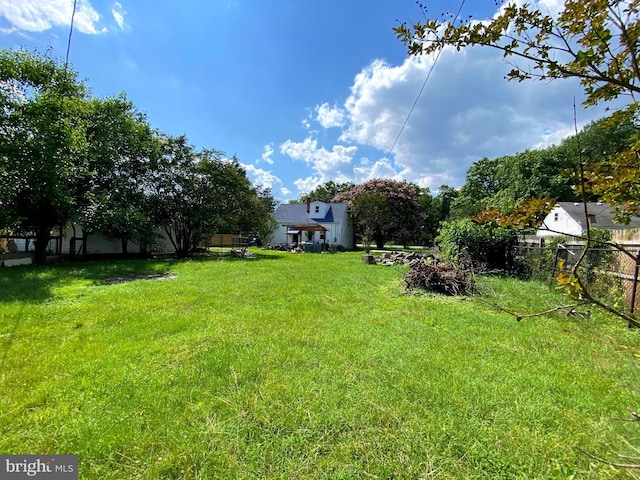 13304 Crain Hwy, Brandywine, MD 20613 - view of yard