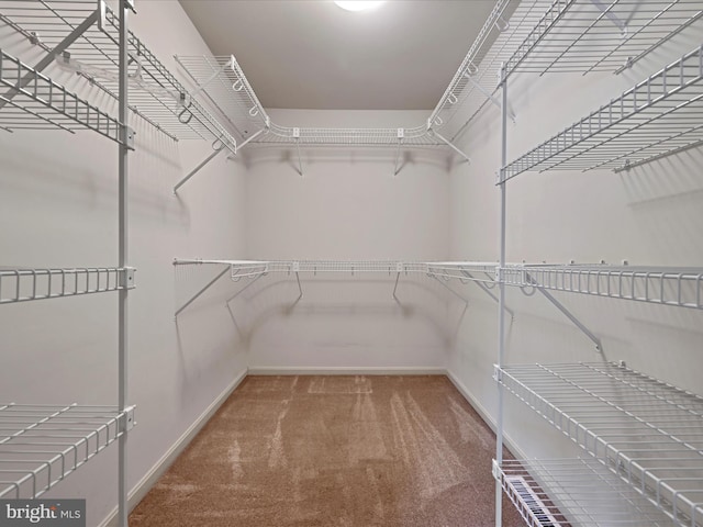 320 N Ridge Rd, Reinholds, PA 17569 - spacious closet featuring carpet