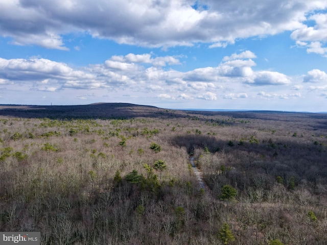 LOT29 Stony Mountain Rd, Jim Thorpe, PA 18229