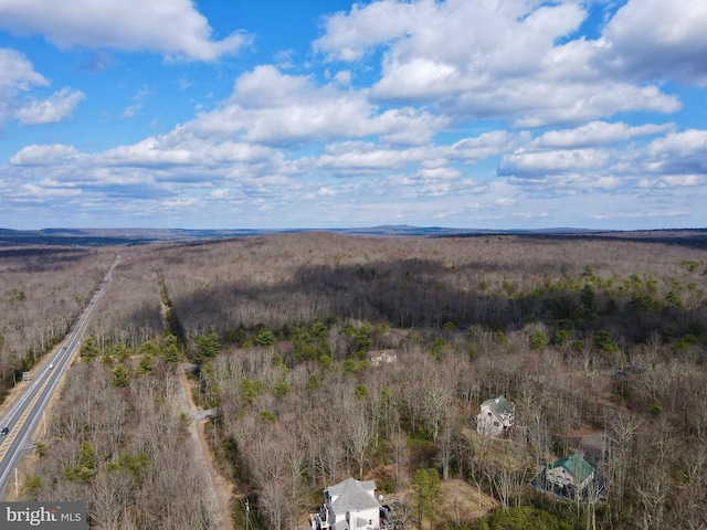 LOT29 Stony Mountain Rd, Jim Thorpe, PA 18229