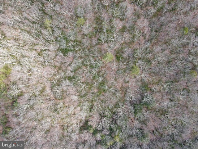 LOT29 Stony Mountain Rd, Jim Thorpe, PA 18229