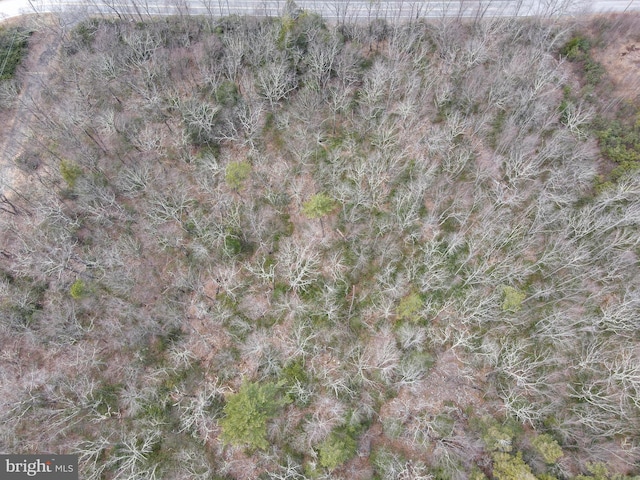 LOT29 Stony Mountain Rd, Jim Thorpe, PA 18229