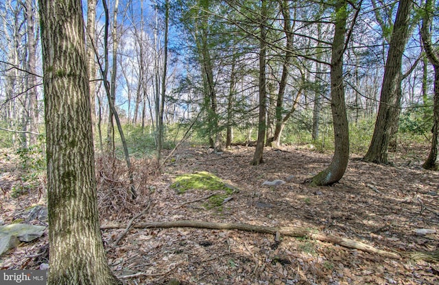 LOT29 Stony Mountain Rd, Jim Thorpe, PA 18229