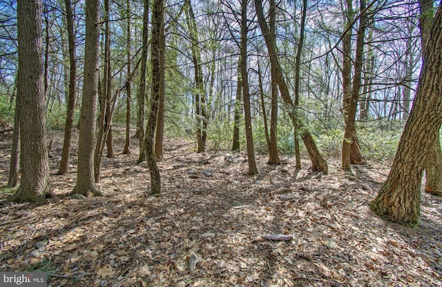 LOT29 Stony Mountain Rd, Jim Thorpe, PA 18229