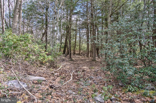 LOT29 Stony Mountain Rd, Jim Thorpe, PA 18229