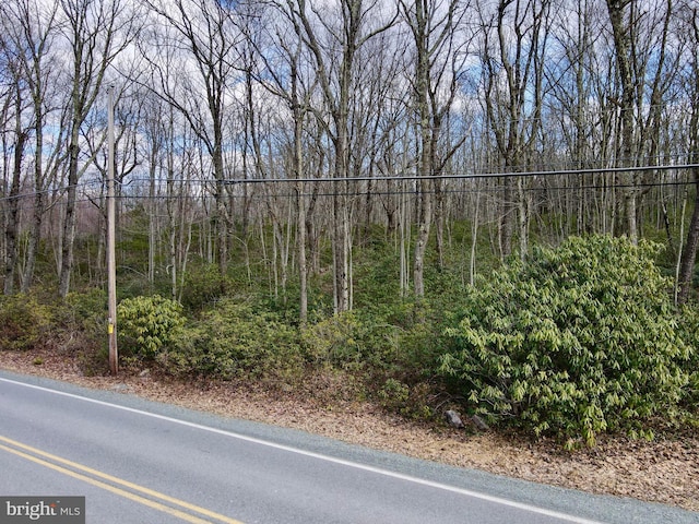 LOT29 Stony Mountain Rd, Jim Thorpe, PA 18229
