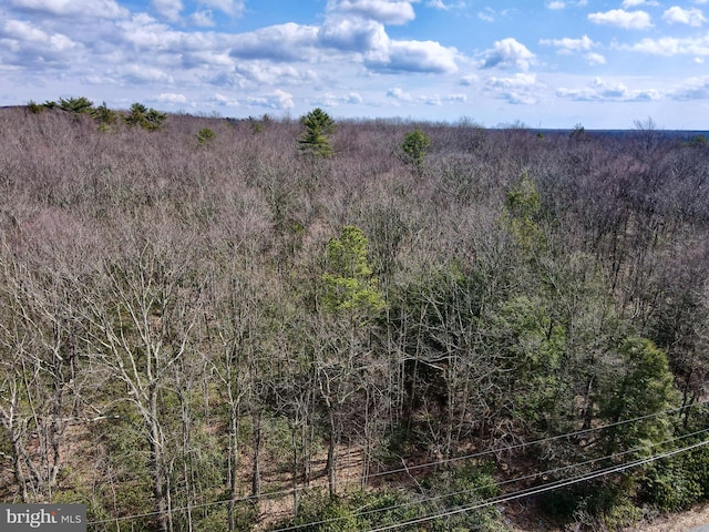 LOT29 Stony Mountain Rd, Jim Thorpe, PA 18229