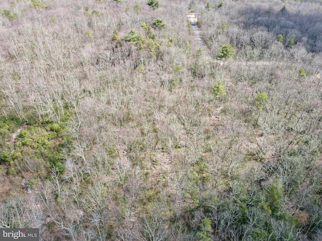 LOT29 Stony Mountain Rd, Jim Thorpe, PA 18229