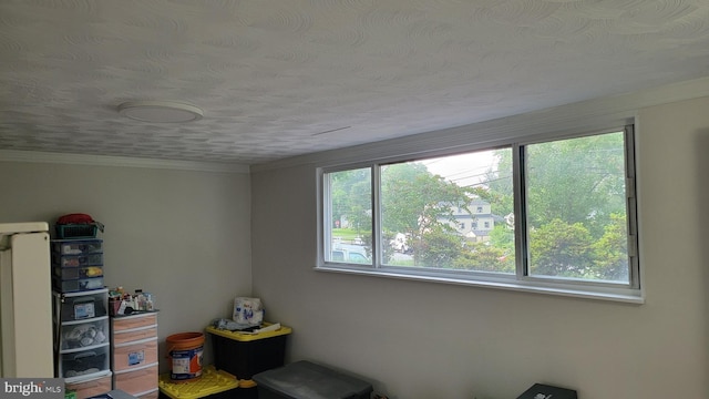 15030 Alabama Ave, Woodbridge, VA 22191 - bedroom with a textured ceiling and ornamental molding