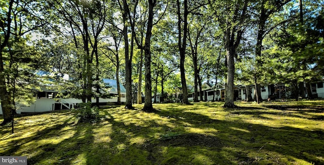 136 Camp Meeting Cir, Herndon, PA 17830 - view of grassy yard
