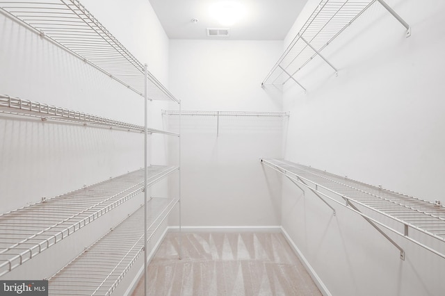 6300 Santo Pl, Capitol Heights, MD 20743 - spacious closet featuring light colored carpet