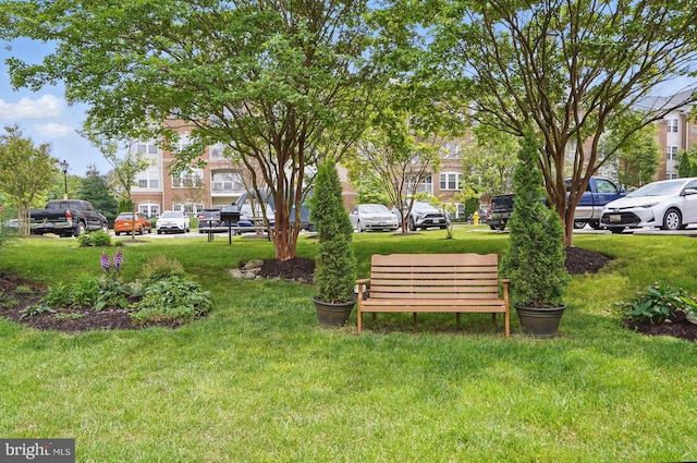 1009 Samantha Ln Unit 302, Odenton, MD 21113 - view of grassy yard